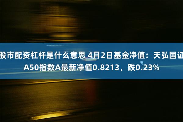 股市配资杠杆是什么意思 4月2日基金净值：天弘国证A50指数A最新净值0.8213，跌0.23%
