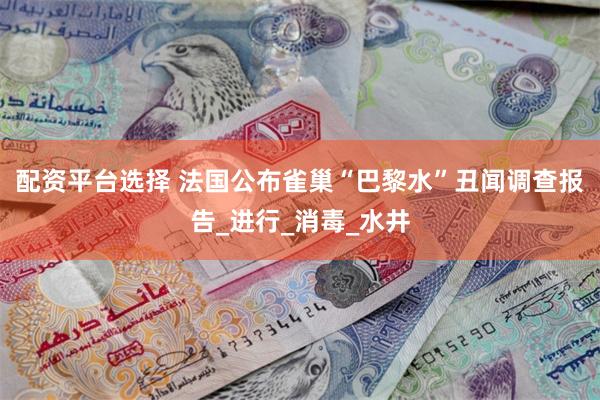 配资平台选择 法国公布雀巢“巴黎水”丑闻调查报告_进行_消毒_水井