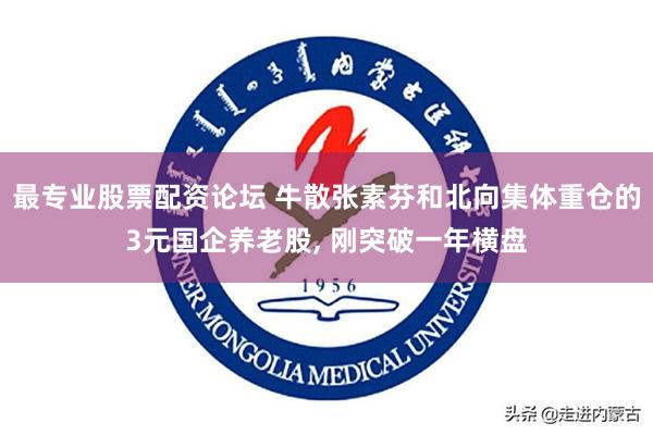 最专业股票配资论坛 牛散张素芬和北向集体重仓的3元国企养老股, 刚突破一年横盘