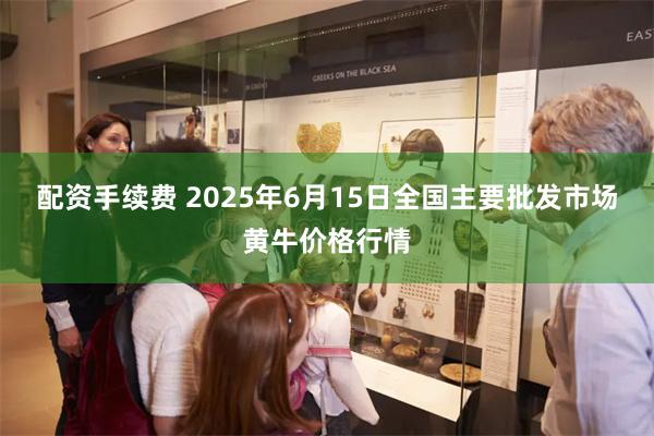 配资手续费 2025年6月15日全国主要批发市场黄牛价格行情