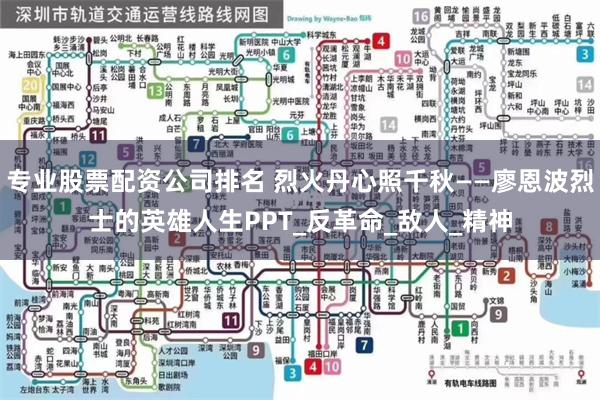 专业股票配资公司排名 烈火丹心照千秋——廖恩波烈士的英雄人生PPT_反革命_敌人_精神